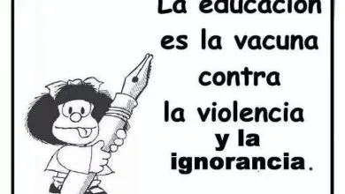 Teoría del Desarrollo Psicoevolutivo del Niño