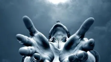 El significado auténtico de vivir la vida plenamente