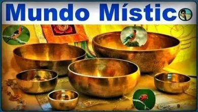 Sonidos relajantes de Cuencos tibetanos y pájaros