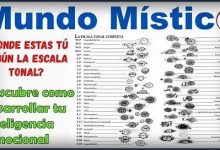 Las leyes cósmicas - Pautas del absoluto