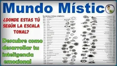 Las leyes cósmicas - Pautas del absoluto