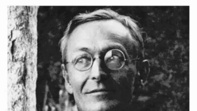 El Lobo Estepario - Hermann Hesse