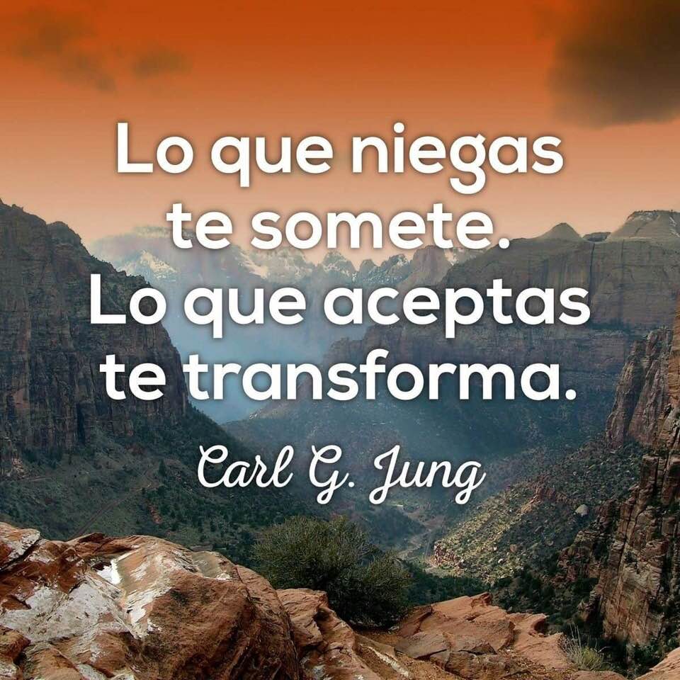 Descubre la magnifica obra de Carl Jung