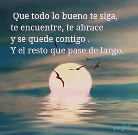 Respeto y amor al todo de la vida